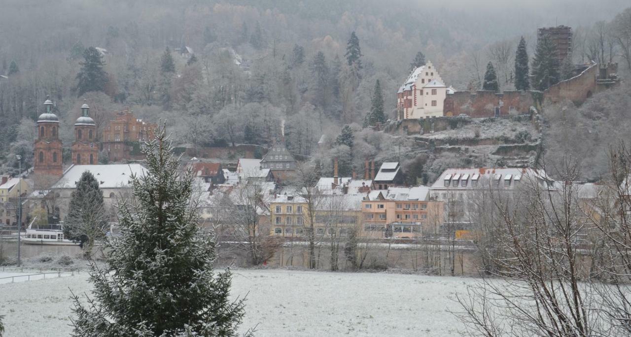 Panorama-Blick Miltenberg, 3 Pers., Zentr., Am Main, Terrasse, Bootverleih, P Exterior foto